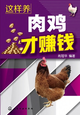 这样养肉鸡才赚钱