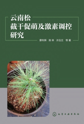云南松截干促萌及激素