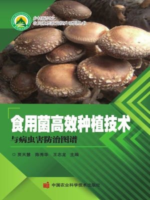 食用菌高效种植技术与