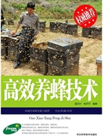 高效养蜂技术