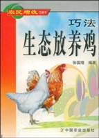 巧法生态放养鸡