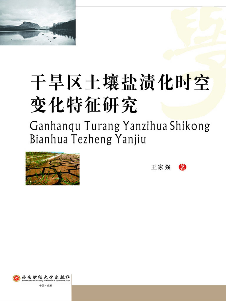 干旱区土壤盐渍化时空