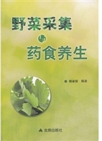 野菜采集与药食养生