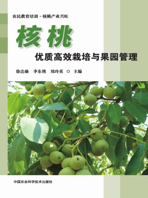 核桃优质高效栽培与果