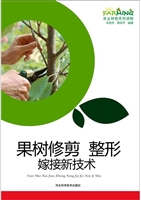 果树修剪 整形 嫁接新