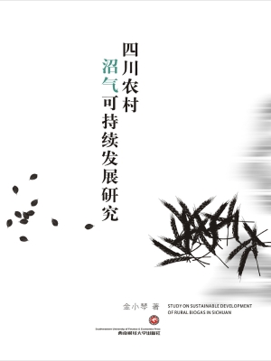 四川农村沼气可持续发