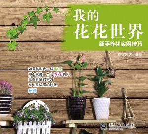 我的花花世界