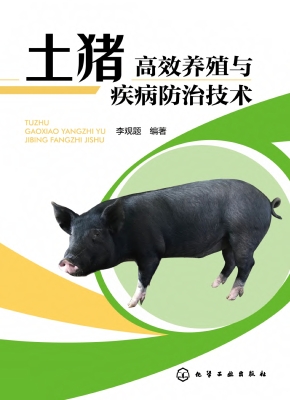 土猪高效养殖与疾病防