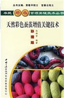 天然彩色蚕茧增值关键