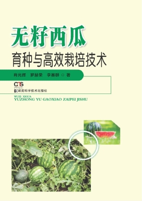 无籽西瓜育种与高效栽