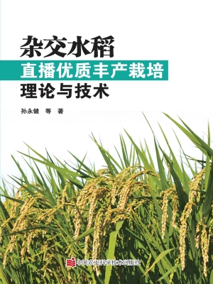 杂交水稻直播优质丰产