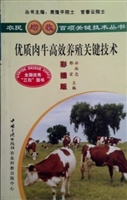 优质肉牛高效养殖关键