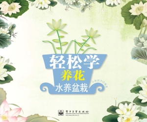 轻松学养花——水养盆
