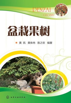 盆栽果树