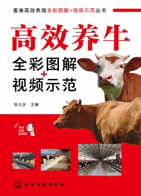 高效养牛全彩图解+视
