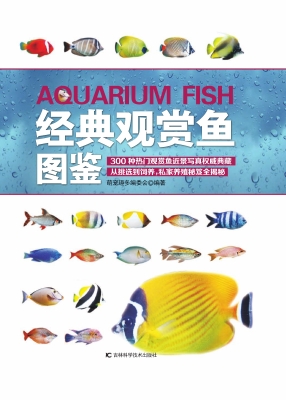 经典观赏鱼图鉴