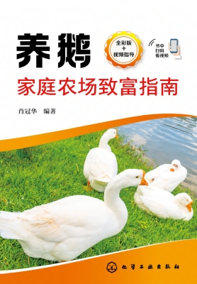 养鹅家庭农场致富指南