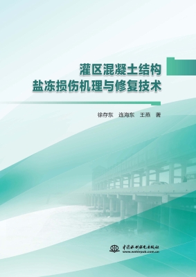 灌区混凝土结构盐冻损