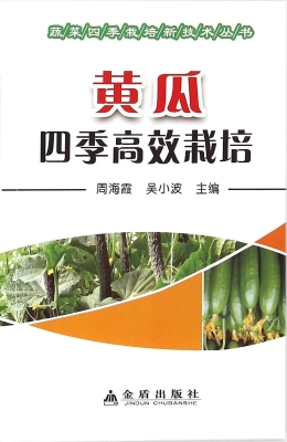 黄瓜四季高效栽培
