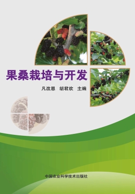 果桑栽培与开发