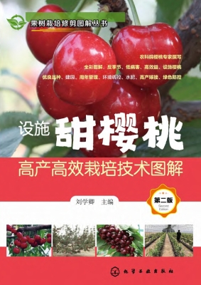 设施甜樱桃高产高效栽