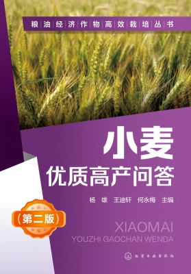 小麦优质高产问答