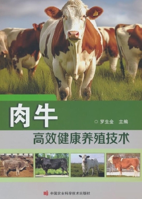 肉牛高效健康养殖技术