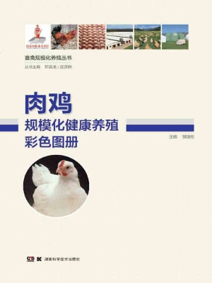肉鸡规模化健康养殖彩