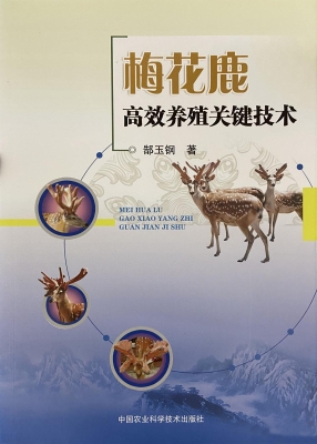 梅花鹿高效养殖关键技