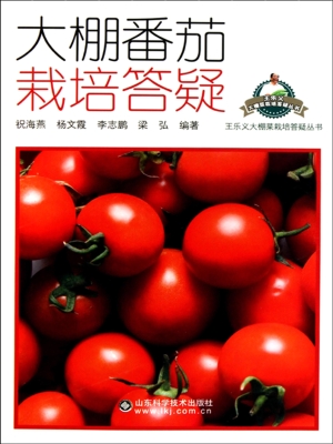 大棚番茄栽培答疑
