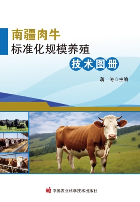 南疆肉牛标准化规模养