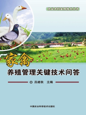家禽养殖管理关键技术