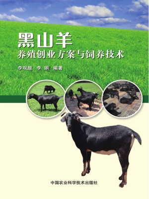 黑山羊养殖创业方案与