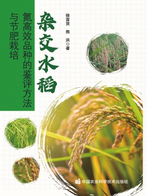 杂交水稻氮高效品种的
