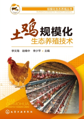 土鸡规模化生态养殖技
