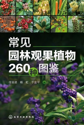 常见园林观果植物260
