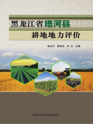黑龙江省塔河县耕地地