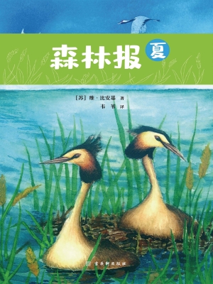 森林报（夏）