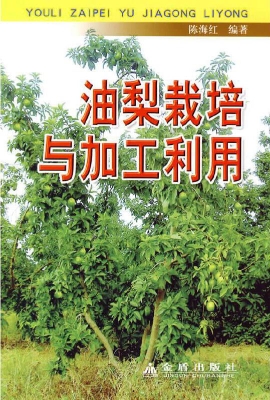 油梨栽培与加工利用