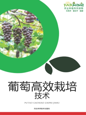 葡萄高效栽培技术