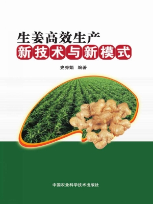 生姜高效生产新技术与