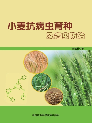 小麦抗病虫育种及病虫