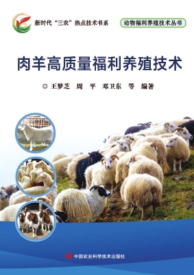 肉羊高质量福利养殖技