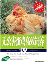 无公害蛋鸡高效饲养技