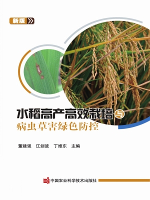 水稻高产高效栽培与病