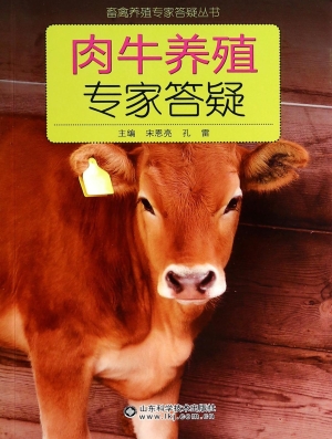肉牛养殖专家答疑