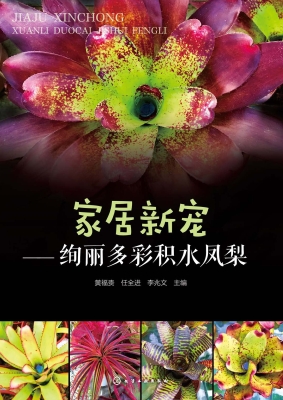 家居新宠——绚丽多彩
