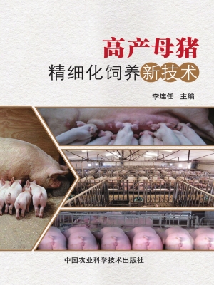 高产母猪精细化饲养新