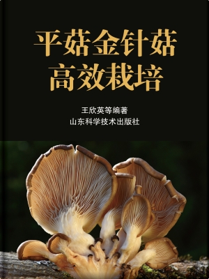 平菇金针菇高效栽培