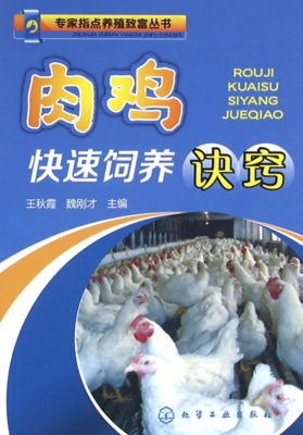 肉鸡快速饲养诀窍